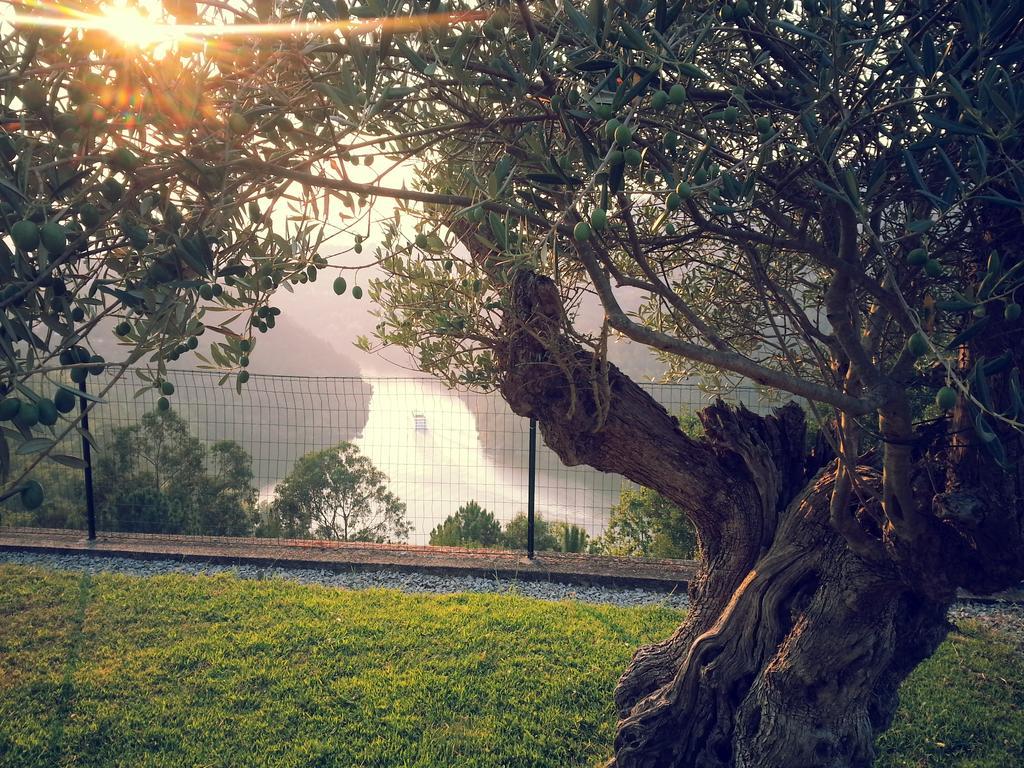 Quinta Das Tilias Douro Valley Cabaca Exterior photo